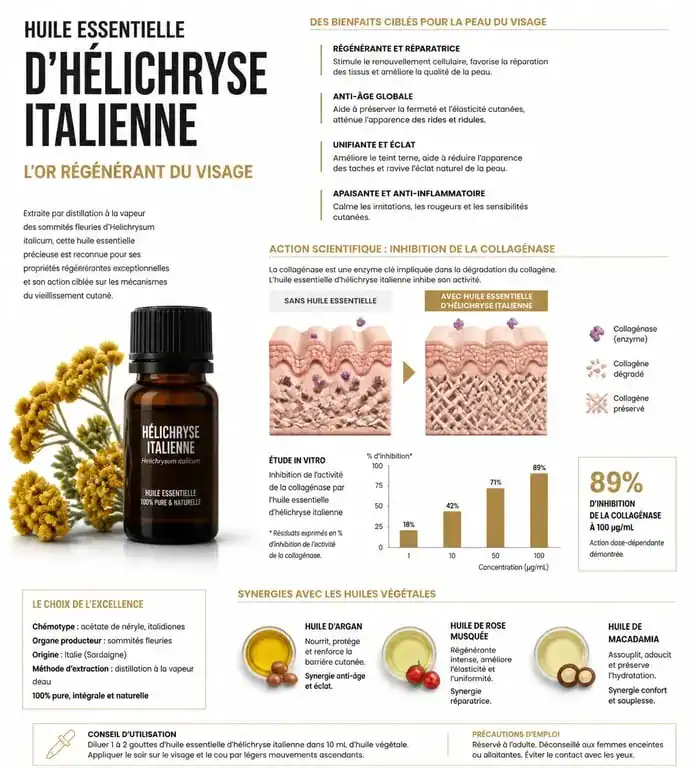 Infographie des bienfaits et utilisation de l'huile essentielle d'hélichryse pour le visage
