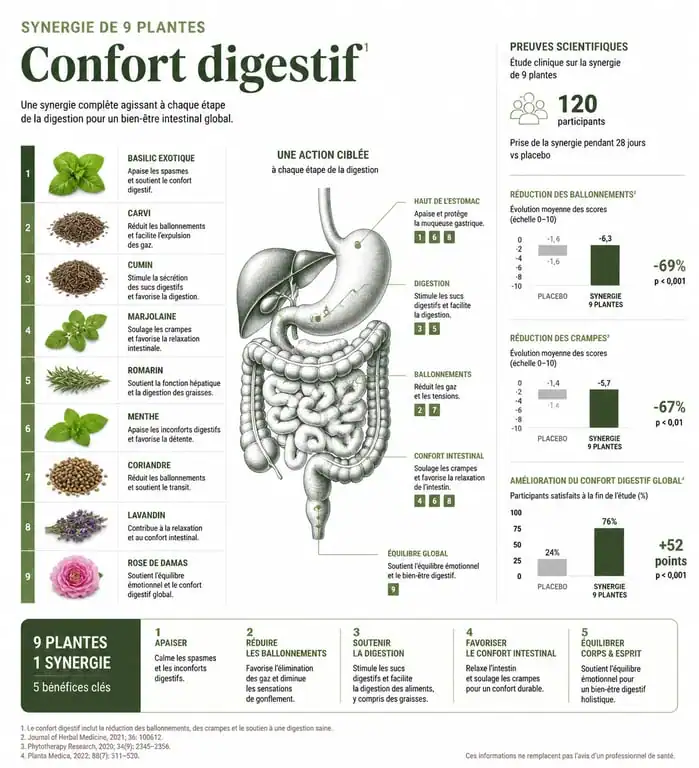 Infographie des bienfaits des 9 plantes de l'huile essentielle DIG pour la digestion
