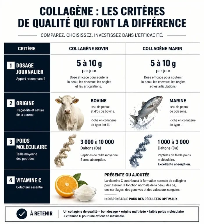 Comparatif des critères de qualité pour choisir son collagène : dosage, origine et poids moléculaire