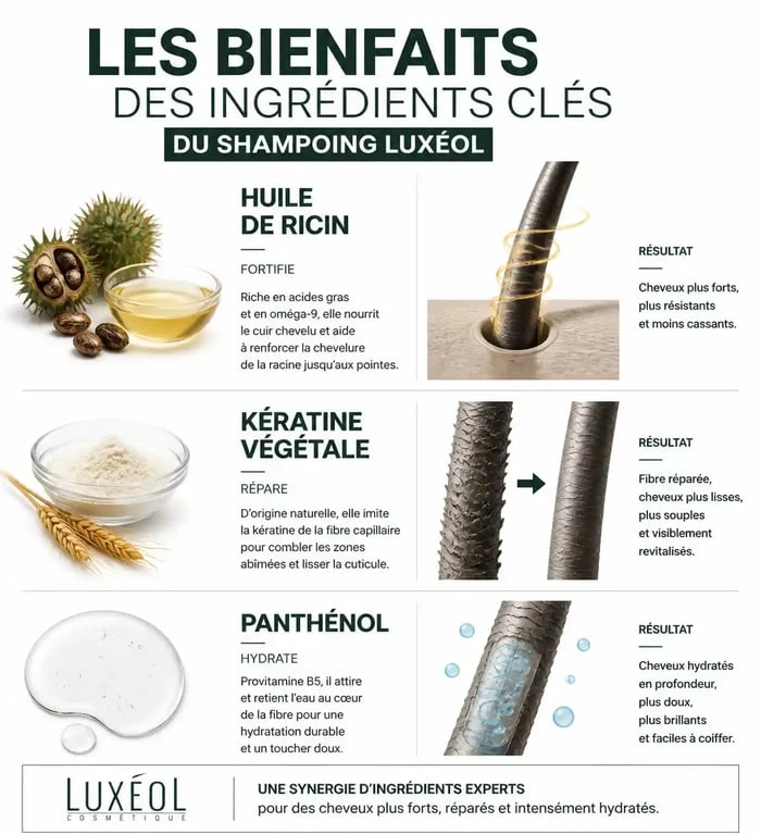 Infographie des bienfaits des ingrédients du shampoing Luxéol : huile de ricin, kératine et panthénol pour une chevelure en bonne santé.