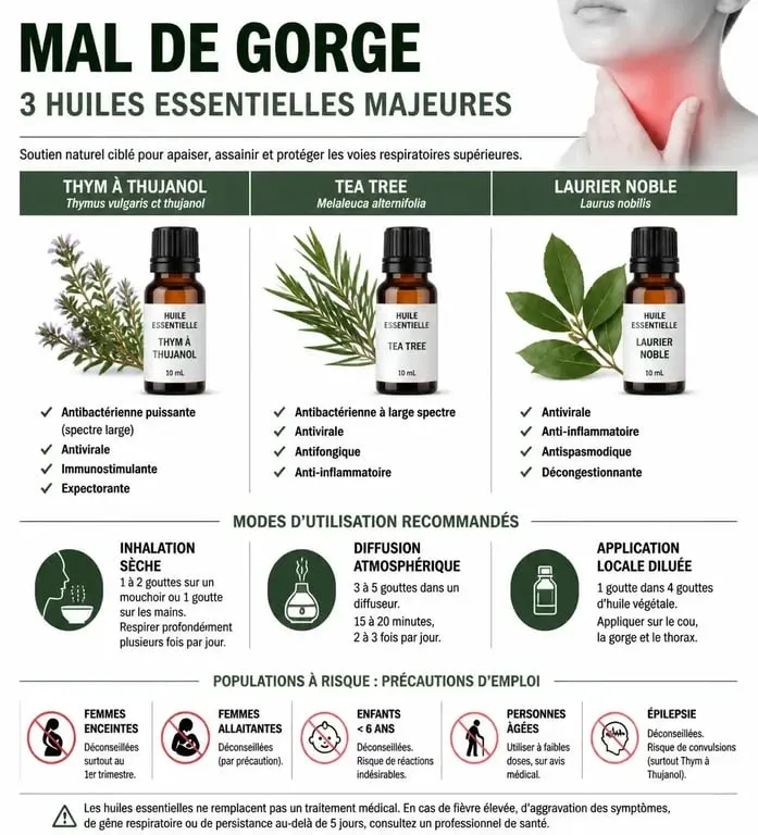 Infographie des huiles essentielles pour le mal de gorge : propriétés et conseils d'utilisation sécurisés