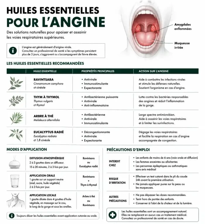 Infographie récapitulative des huiles essentielles pour soulager l'angine et précautions d'usage